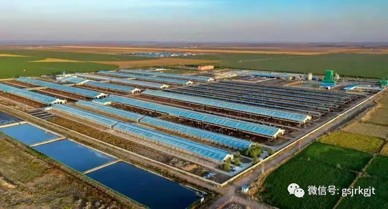 甘肃现代丝路寒旱农业基金助力养殖龙头企业提质增量