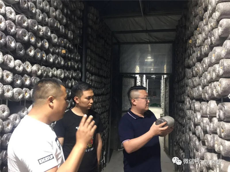 甘肃金控陇南担保公司针对在保项目开展集中检查月活动