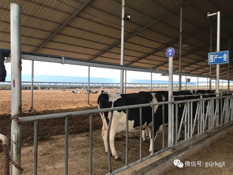 金控武威担保联合古浪县金融办及当地多家银行开展考察调研